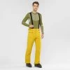 Salomon Snowboard Skiski Mens Pants - Yellow